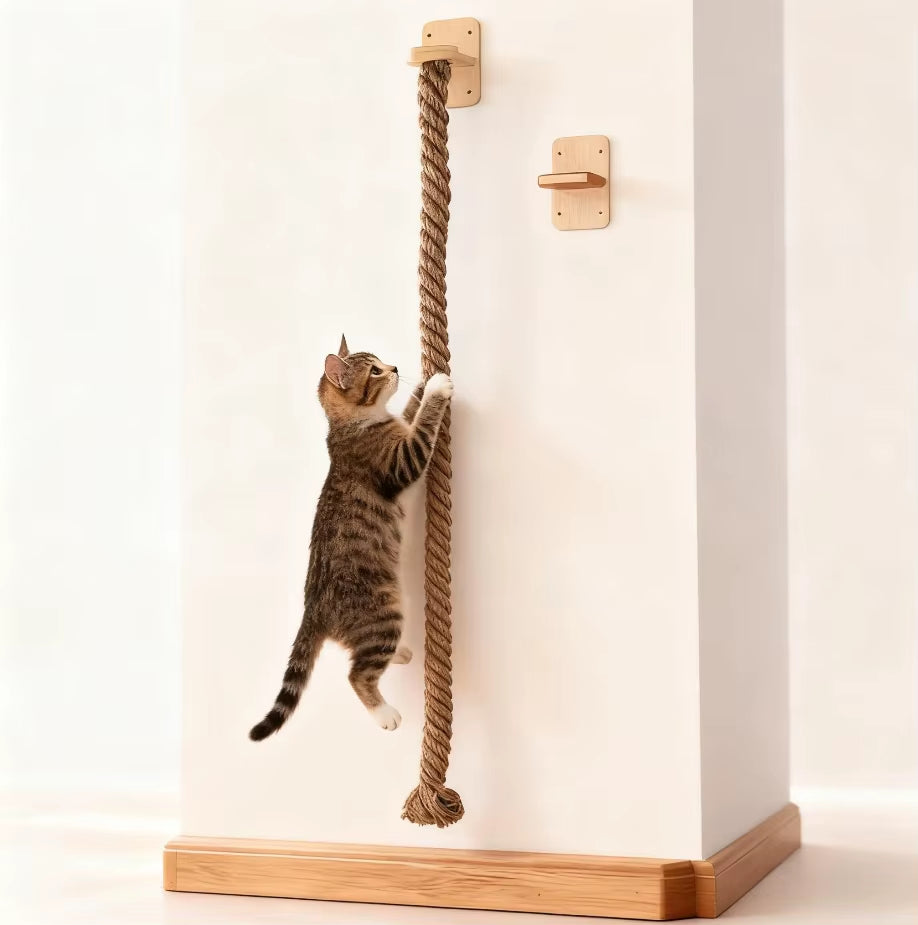 High Quality Interactive Pet Toy Silent Cat Exercise 20Kg Capacity Hanging Cat Climbing Furniture Shelf Wall Mounted Frame