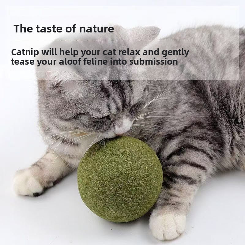 Catnip Toy Ball