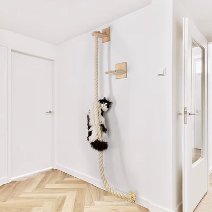 High Quality Interactive Pet Toy Silent Cat Exercise 20Kg Capacity Hanging Cat Climbing Furniture Shelf Wall Mounted Frame