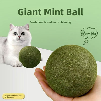 Catnip Toy Ball